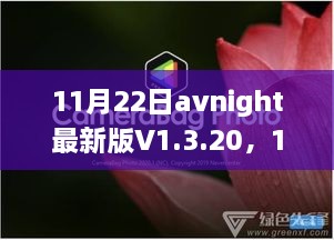 11月22日Avnight V1.3.20最新版，学习变革，用行动成就梦想之夜的光辉