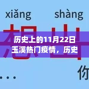 历史上的11月22日玉溪疫情深度解析，疫情发展与防控措施探讨