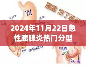 急性胰腺炎热门分型揭秘与探讨（最新聚焦，2024年11月版）