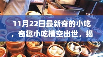 揭秘，最新潮流美食的诞生与影响——奇趣小吃横空出世，11月22日新奇小吃大揭秘