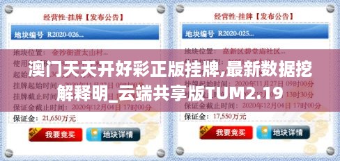 澳门天天开好彩正版挂牌,最新数据挖解释明_云端共享版TUM2.19