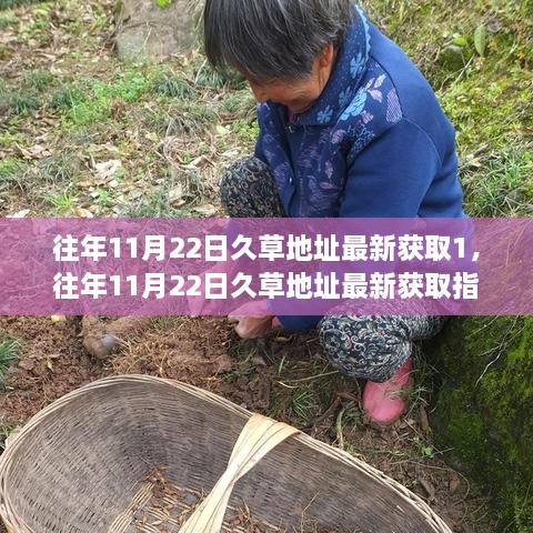 涉黄警示，往年11月22日久草地址最新获取指南（需警惕不良内容风险）