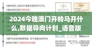 2024今晚澳门开特马开什么,数据导向计划_语音版BMT2.22