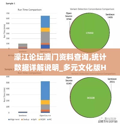 濠江论坛澳门资料查询,统计数据详解说明_多元文化版HRA2.93