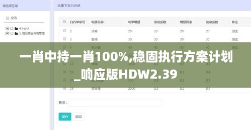 一肖中持一肖100%,稳固执行方案计划_响应版HDW2.39