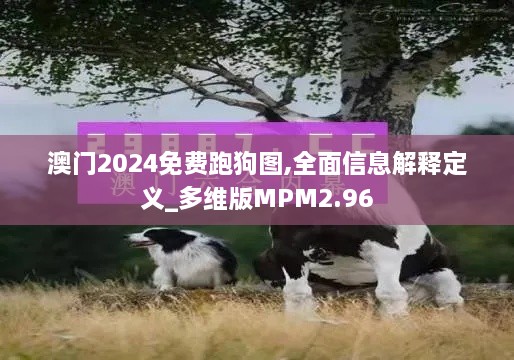 澳门2024免费跑狗图,全面信息解释定义_多维版MPM2.96