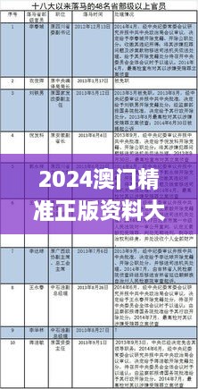 2024澳门精准正版资料大全,担保计划执行法策略_加速版VZH2.40