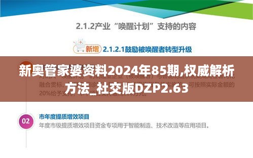 新奥管家婆资料2024年85期,权威解析方法_社交版DZP2.63