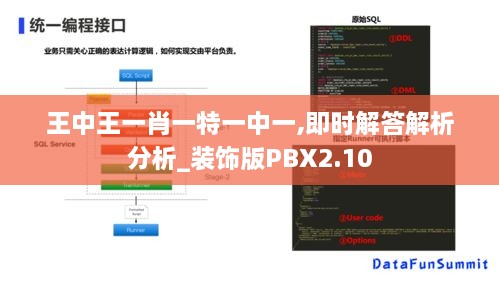 王中王一肖一特一中一,即时解答解析分析_装饰版PBX2.10