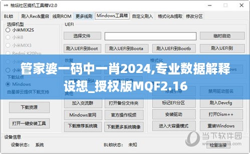 管家婆一码中一肖2024,专业数据解释设想_授权版MQF2.16