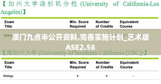 澳门九点半公开资料,完善实施计划_艺术版ASE2.58