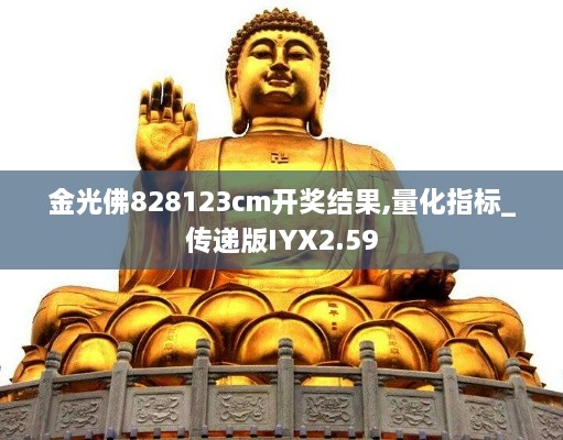 金光佛828123cm开奖结果,量化指标_传递版IYX2.59