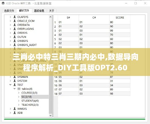 三肖必中特三肖三期内必中,数据导向程序解析_DIY工具版OPT2.60