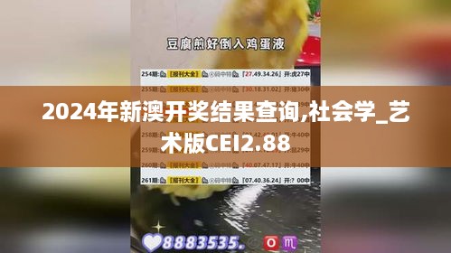 2024年新澳开奖结果查询,社会学_艺术版CEI2.88