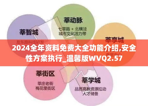 2024全年资料免费大全功能介绍,安全性方案执行_温馨版WVQ2.57