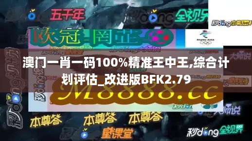 澳门一肖一码100%精准王中王,综合计划评估_改进版BFK2.79