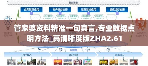 管家婆资料精准一句真言,专业数据点明方法_高清晰度版ZHA2.61