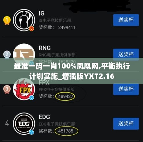 最准一码一肖100%凤凰网,平衡执行计划实施_增强版YXT2.16