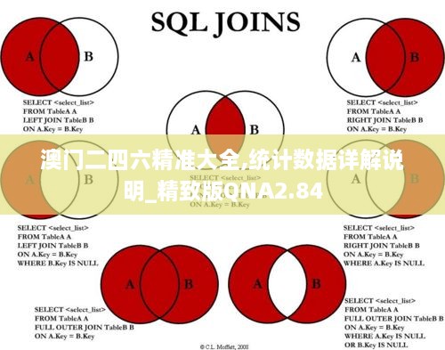 澳门二四六精准大全,统计数据详解说明_精致版QNA2.84