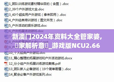 新澳门2024年资料大全管家婆,專家解析意見_游戏版NCU2.66