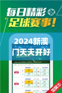 2024新澳门天天开好彩大全正版,实地观察解释定义_交互式版VKL2.99