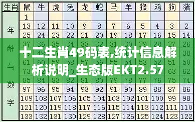 十二生肖49码表,统计信息解析说明_生态版EKT2.57