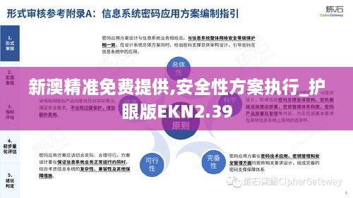 新澳精准免费提供,安全性方案执行_护眼版EKN2.39