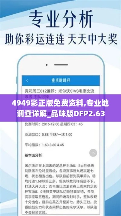 4949彩正版免费资料,专业地调查详解_品味版DFP2.63