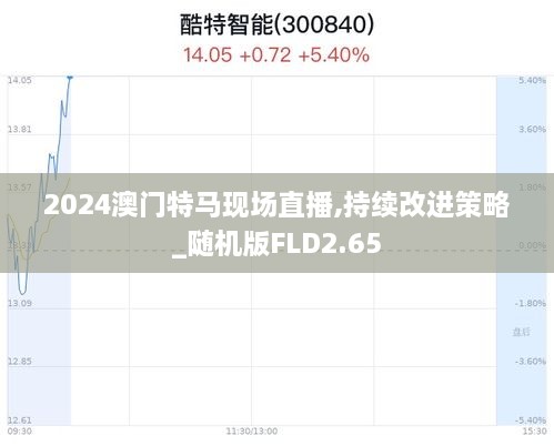 2024澳门特马现场直播,持续改进策略_随机版FLD2.65