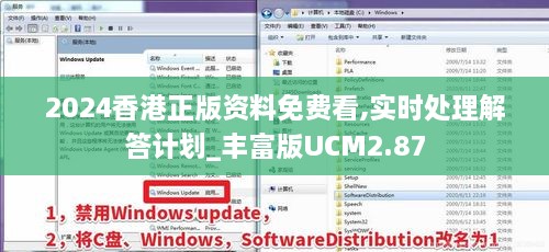 2024香港正版资料免费看,实时处理解答计划_丰富版UCM2.87