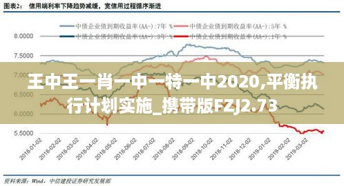 王中王一肖一中一特一中2020,平衡执行计划实施_携带版FZJ2.73