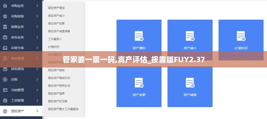 管家婆一票一码,资产评估_按需版FUY2.37