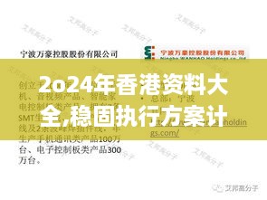 2o24年香港资料大全,稳固执行方案计划_定制版YRR2.56