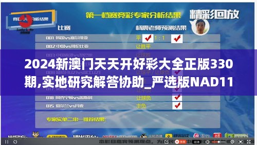 2024新澳门天天开好彩大全正版330期,实地研究解答协助_严选版NAD11.70