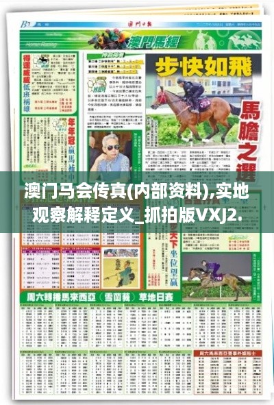 澳门马会传真(内部资料),实地观察解释定义_抓拍版VXJ2.66