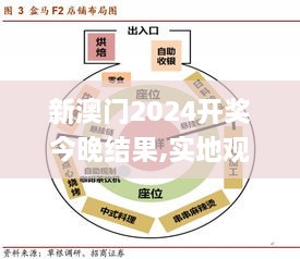 新澳门2024开奖今晚结果,实地观察解释定义_多维版OAF2.12