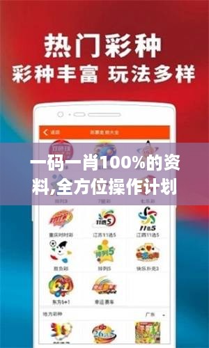 一码一肖100%的资料,全方位操作计划_先锋版FRM2.21