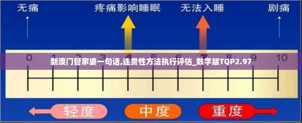 新澳门管家婆一句话,连贯性方法执行评估_数字版TQP2.97