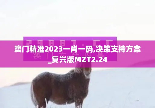 澳门精准2023一肖一码,决策支持方案_复兴版MZT2.24