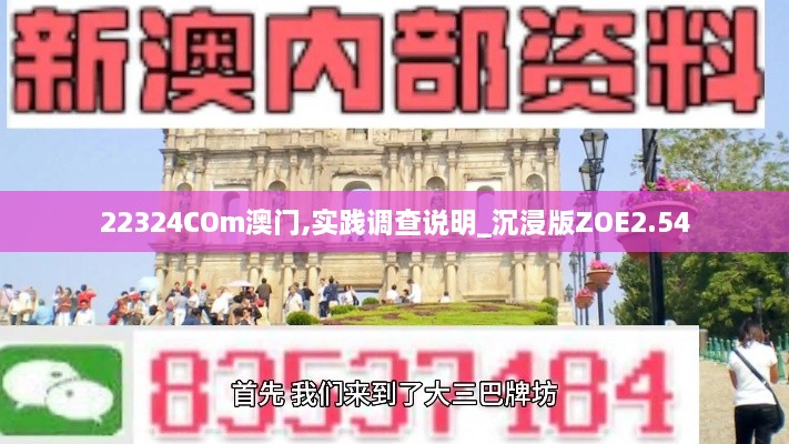 22324COm澳门,实践调查说明_沉浸版ZOE2.54