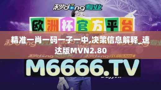 精准一肖一码一子一中,决策信息解释_速达版MVN2.80