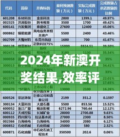 2024年新澳开奖结果,效率评估方案_多功能版INE2.90