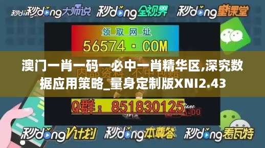 澳门一肖一码一必中一肖精华区,深究数据应用策略_量身定制版XNI2.43