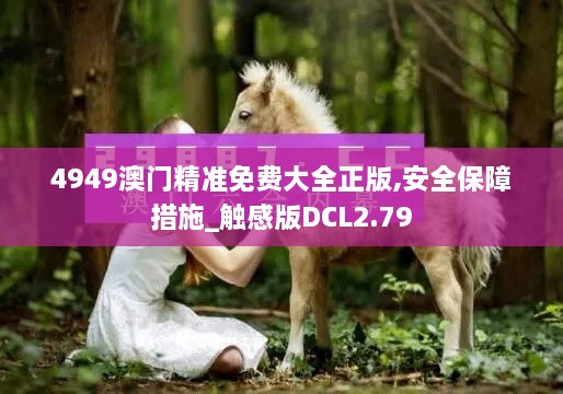 4949澳门精准免费大全正版,安全保障措施_触感版DCL2.79