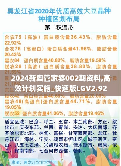 2024新奥管家婆002期资料,高效计划实施_快速版LGV2.92