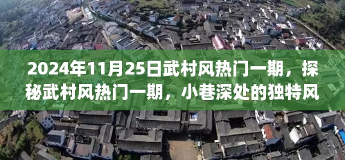 探秘武村风热门一期，2024年11月25日的独特风味奇遇