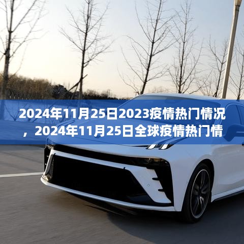 从某某观点看，全球疫情热门情况分析——2024年11月25日的视角探讨