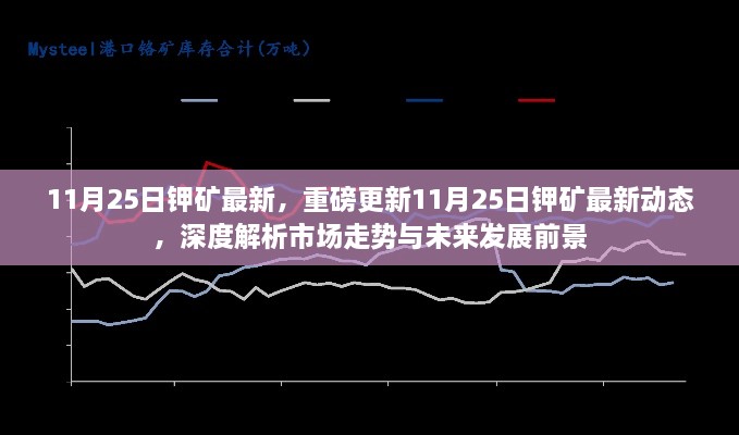 11月25日钾矿最新动态，深度解析市场走势与未来展望