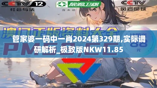 管家婆一码中一肖2024第329期,实际调研解析_极致版NKW11.85