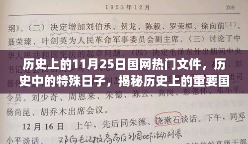 揭秘国网历史文件诞生记，特殊日子的特殊事件回顾（以十一月二十五日为例）